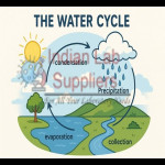 Water Cycle Model  STEM Science Lab Demonstration Model